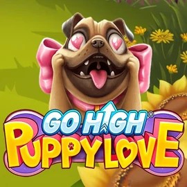 game logo by RubyPlay on rollxos.it